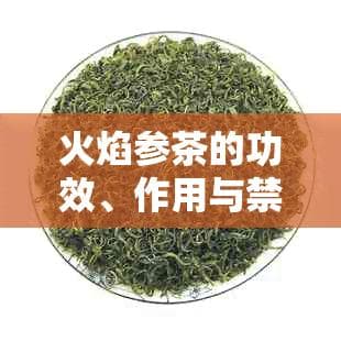 火焰参茶的功效、作用与禁忌：全面了解其健益处与注意事项