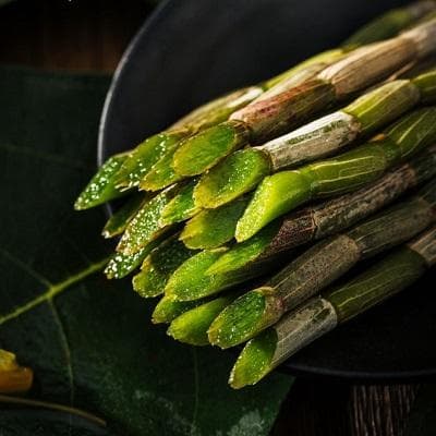 铁皮石斛：一种珍贵的药用植物