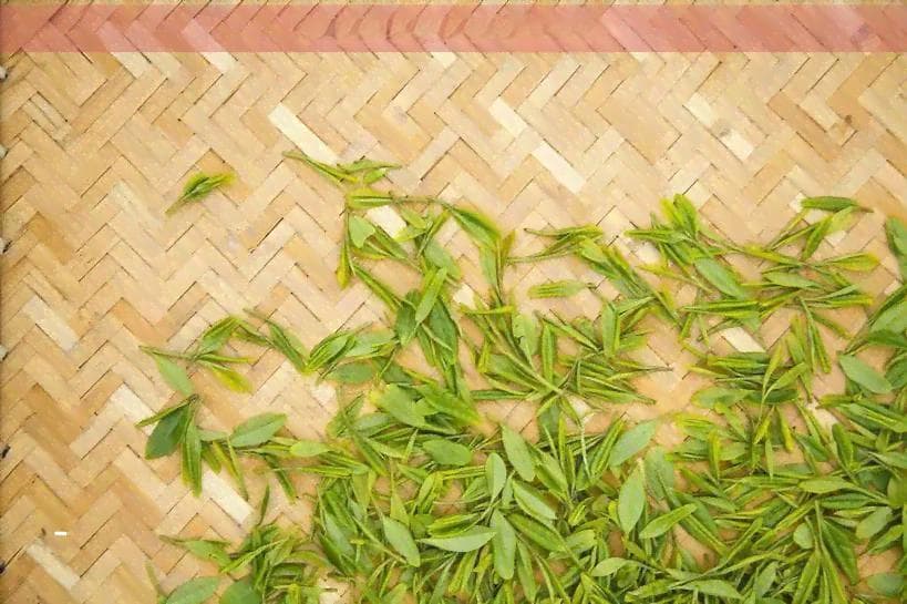 禅茶品种及种类解析：了解禅茶的真正含义与特点