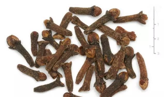 中药诱鱼秘方：寒冬钓鲫鱼的最佳药米配方与使用技巧