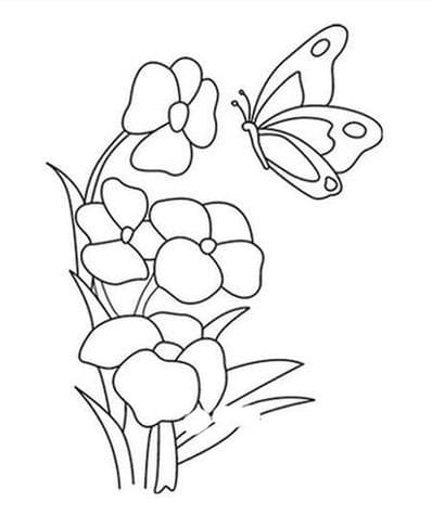 蝴蝶花简笔画教程：13个步骤教你画出美丽蝴蝶花