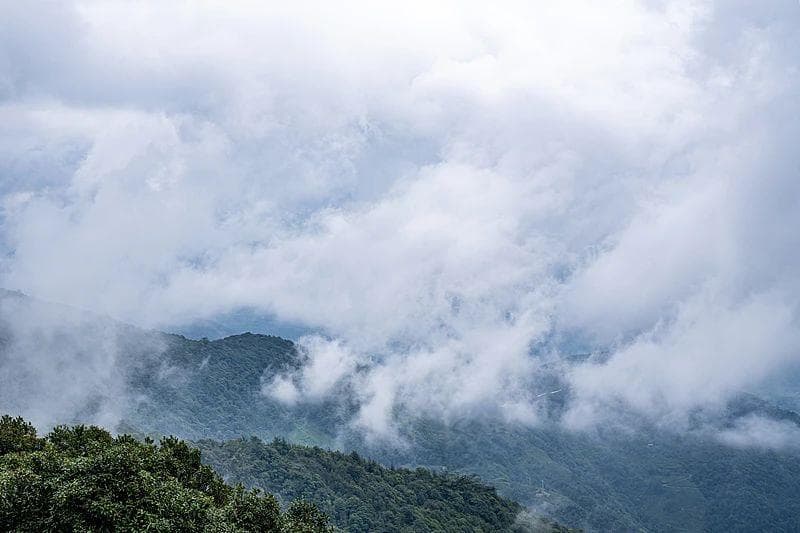 什么是哀牢山？探索自然之谜与守护生态的边界