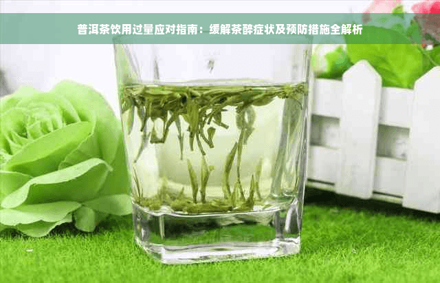 普洱茶饮用过量应对指南：缓解茶醉症状及预防措施全解析