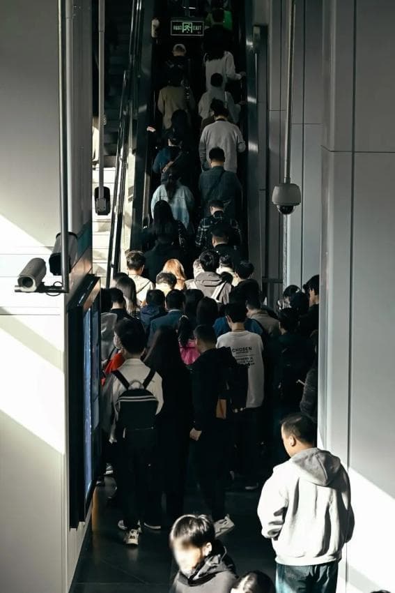 地铁9号线，上海的“打工人专列”