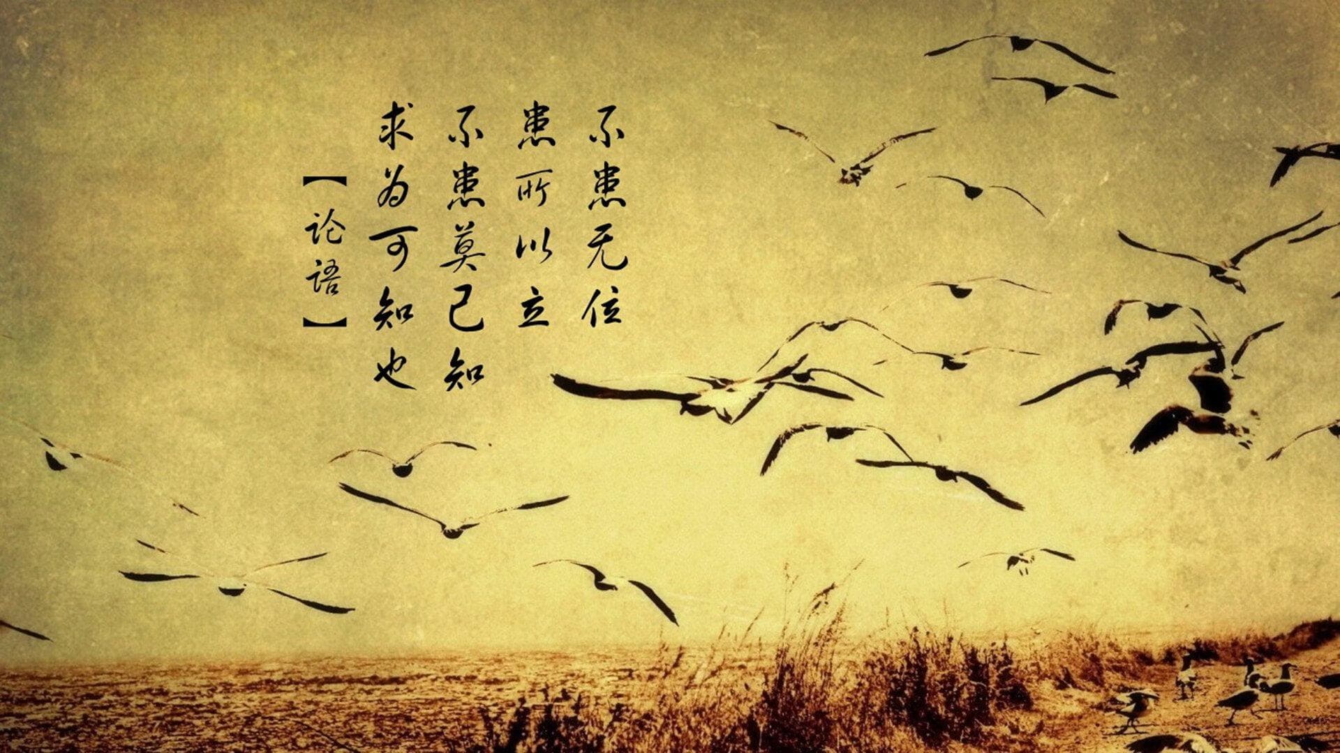 有花堪折直须折莫待无花空折枝全诗