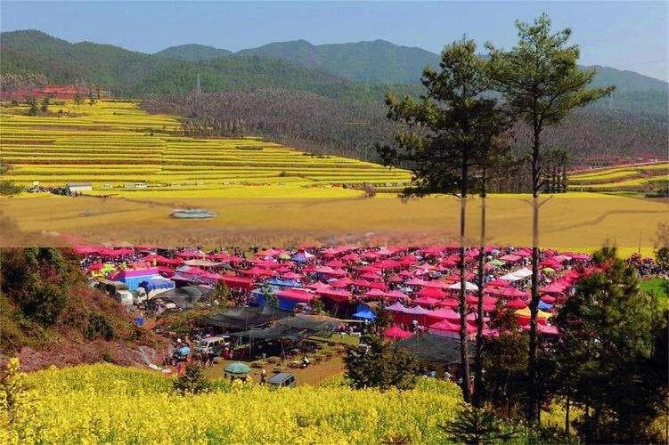 云南九乡一日游攻略：行程路线与费用详解