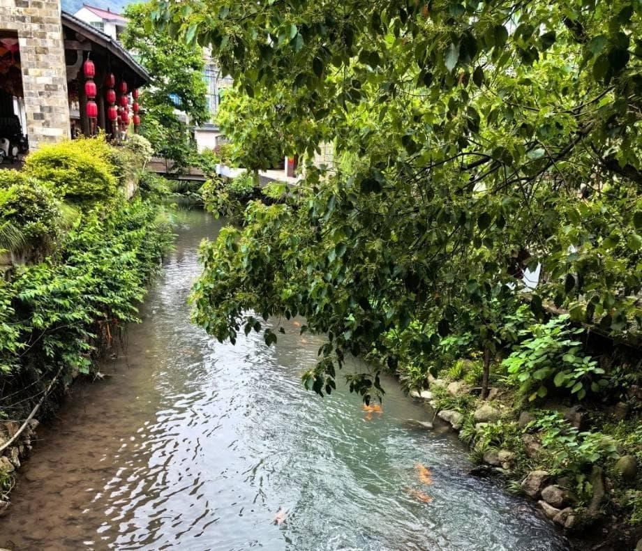 永康一日游：探秘五金之都的绝美风光与诱人美食！