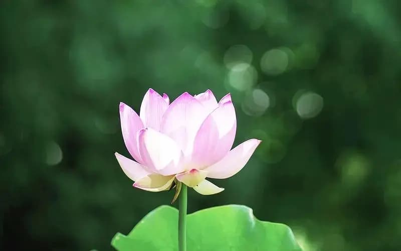 塔罗牌指引下的分手复合之旅：一段心灵的探索与重生