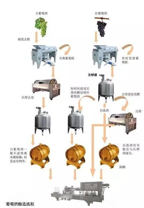 红葡萄酒的魔法酿造术：从葡萄到琼浆的奇妙旅程