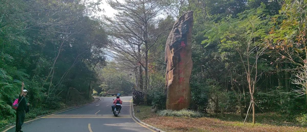 深圳马峦山郊野公园游玩攻略：山水秘境中的自然探索之旅