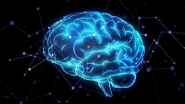 中国人大脑有独特的语言区