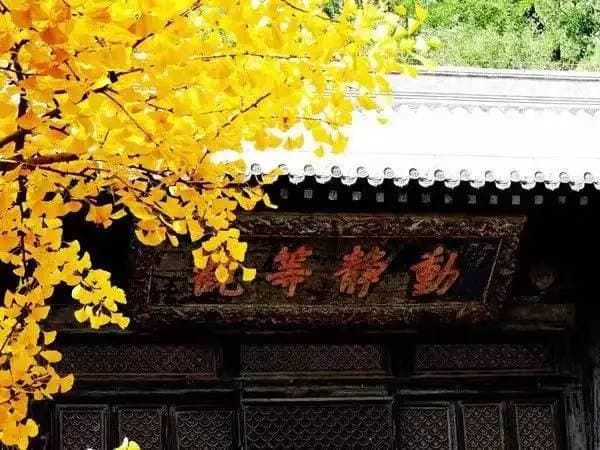 回文诗的写作要点及技巧