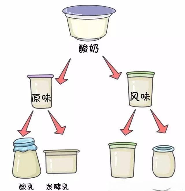 发酵乳才是真酸奶，三个指标教你挑好奶