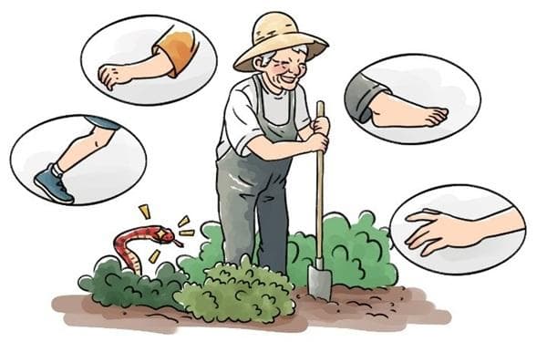毒蛇咬伤急救指南：关键时刻如何保命？