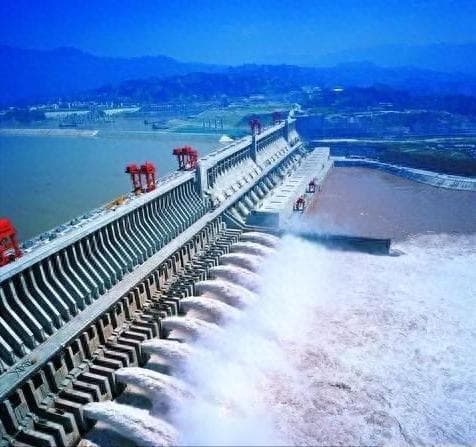 三峡拦坝20年，中华鲟40年放流800万尾，单尾“鱼王”有多重