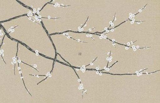 纽能八字解析：传统命理学的智慧与现代生活应用