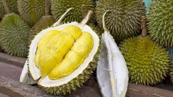 秋季养生应该多吃什么食物和水果