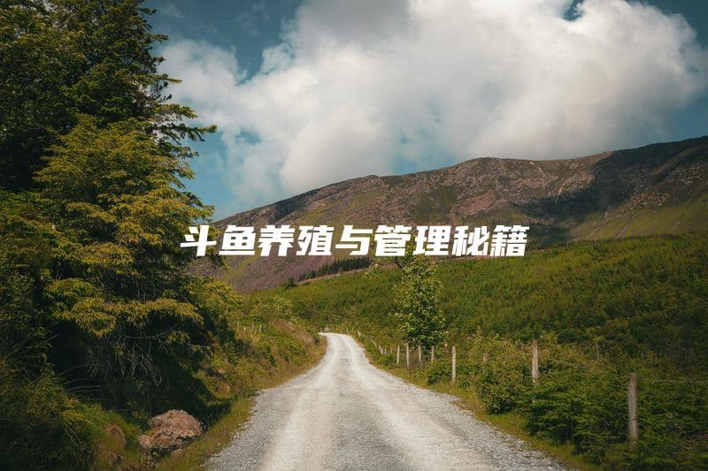 斗鱼饲养指南：健康水质与科学管理