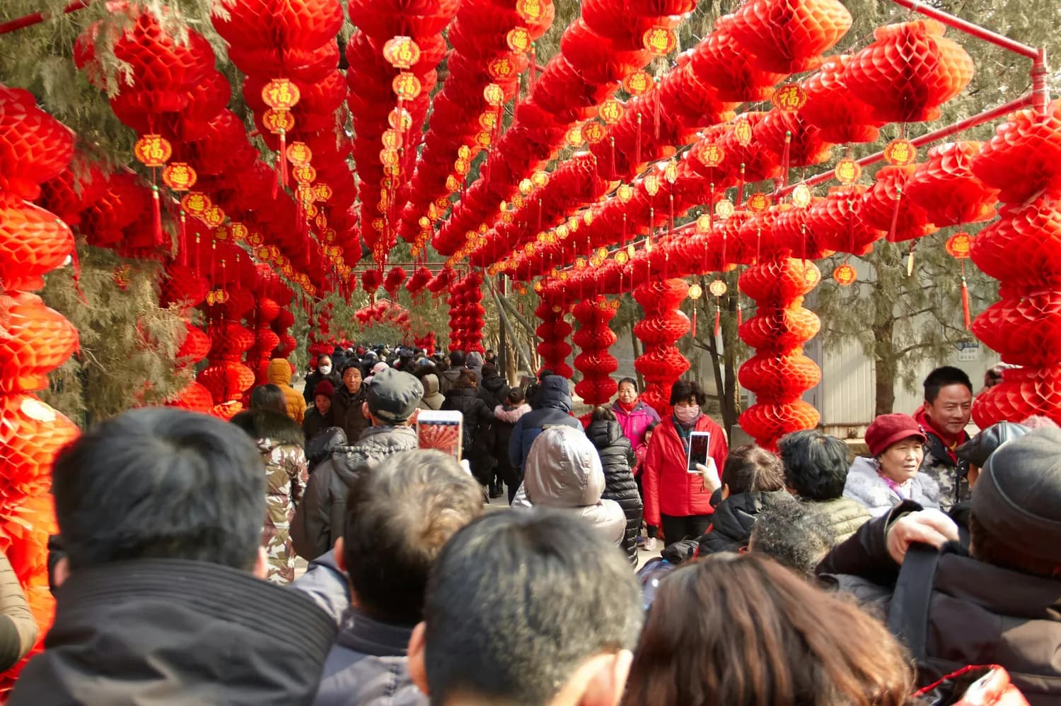 春节北京亲子游：故宫天坛长城全攻略