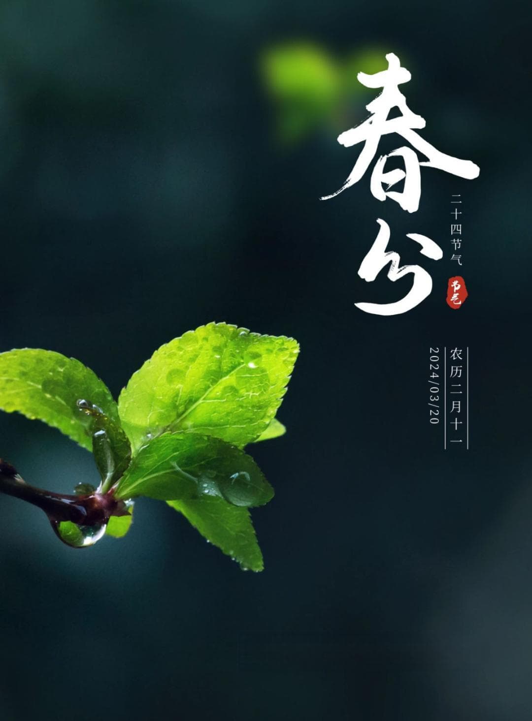 法院“二十四节气”｜春分•司法护春耕