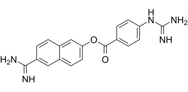 黑神话·血液净化抗凝剂系列：甲磺酸萘莫司他
