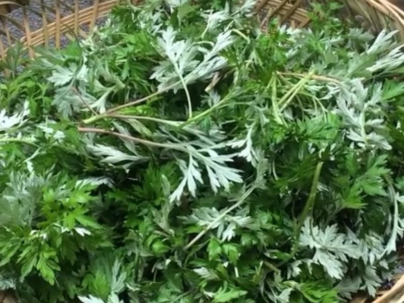 蒿子粑粑：传统美食的制作工艺与文化传承