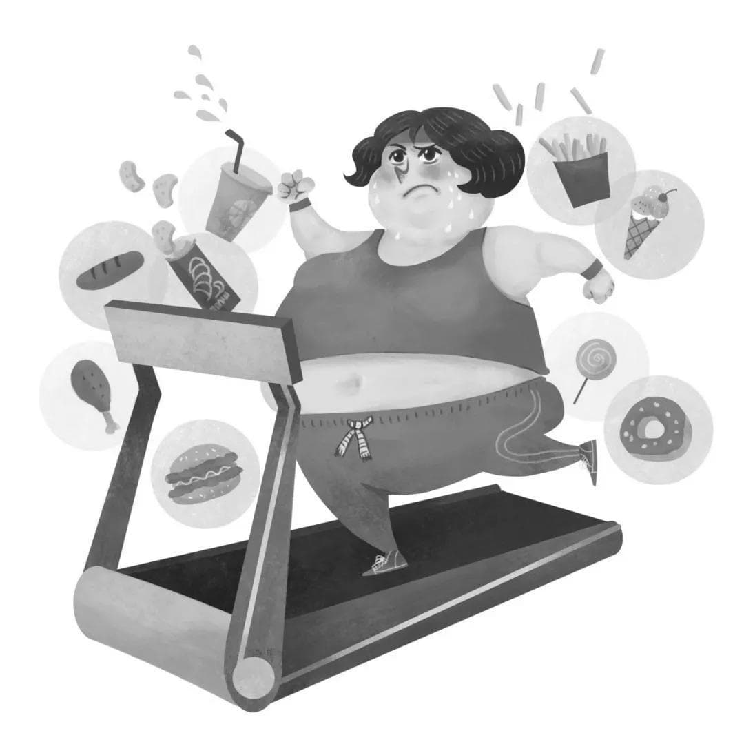 人体成分分析报告解读指南：从BMI到基础代谢的全面解析