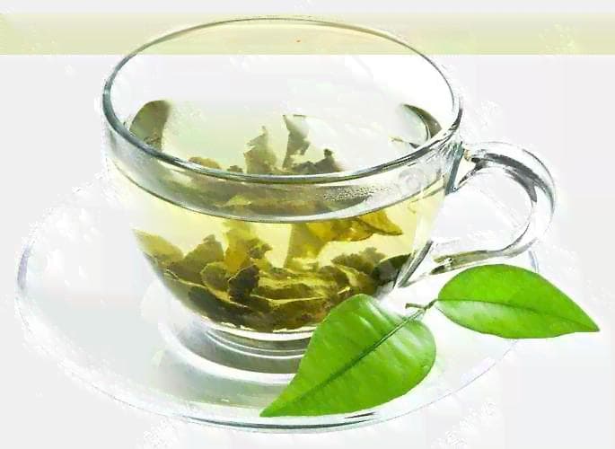 乌牛早属于什么茶类：茶叶品种及其特点概述