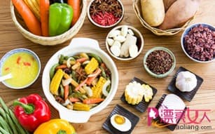 宠物养护：要点、饮食、运动三管齐下