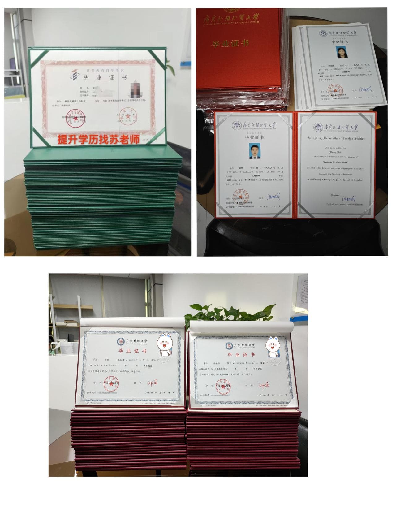 【自考/成考/开放大学怎么选？一图看懂学历提升最优解！】