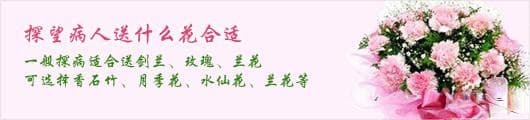 探望病人送什么花合适？