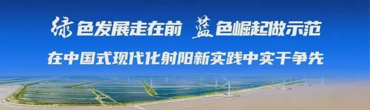 抢“鲜”上市！射阳海河西葫芦产销两旺助增收