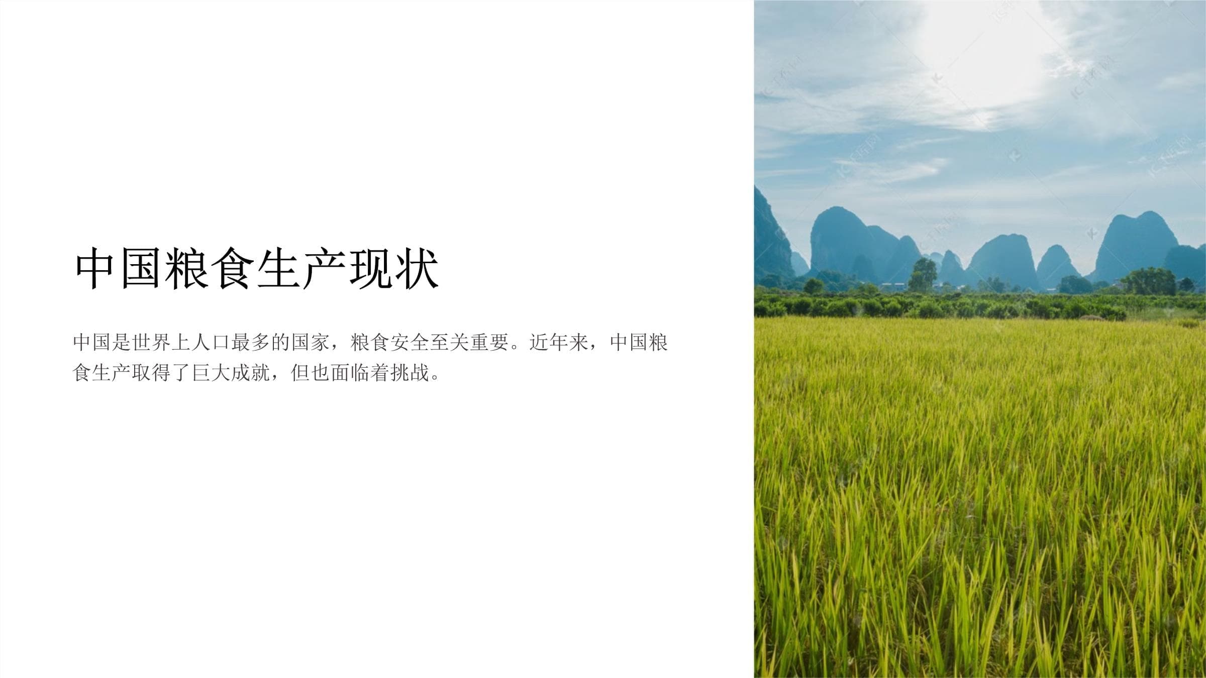 中国粮食生产现状：成就、挑战与应对策略