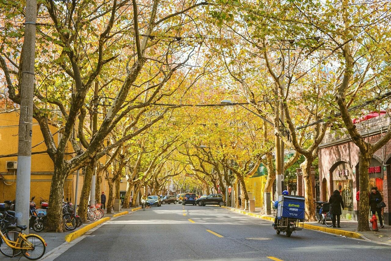 上海十大徒步路线，周末休闲新选择