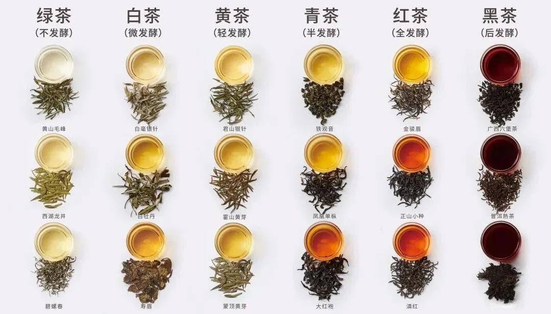 六大茶类：从绿茶到红茶，领略中国茶文化的独特魅力