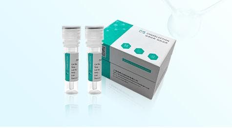 白介素2（IL-2)的分类、功能及在肿瘤治疗上的应用