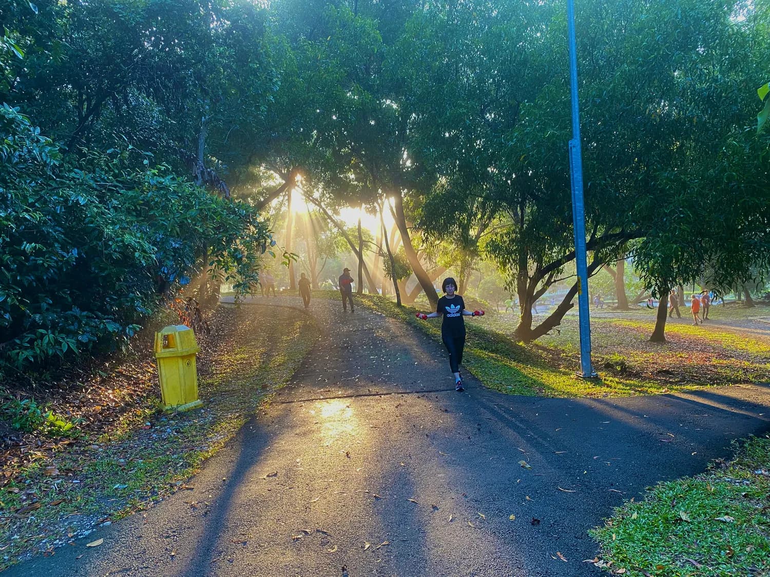 晨练达人亲测：告别起床困难症！