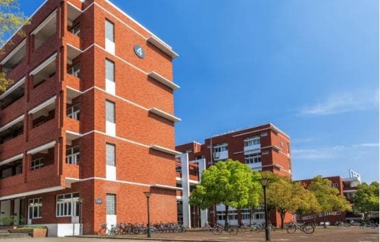 国内这5所985大学就业率下降，背后原因令人深思