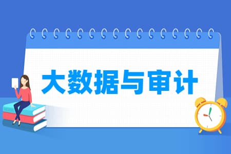 大数据与审计专业怎么样_就业方向_主要学什么