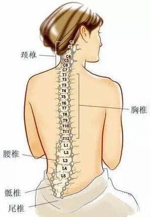 腰椎滑脱：病因、症状、诊断与治疗全解析