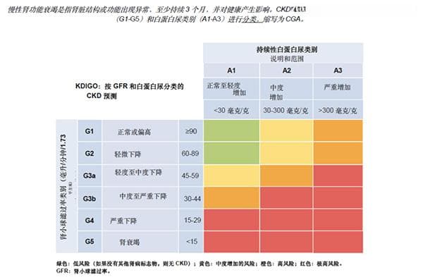 慢性肾脏病筛查 诊断及防治