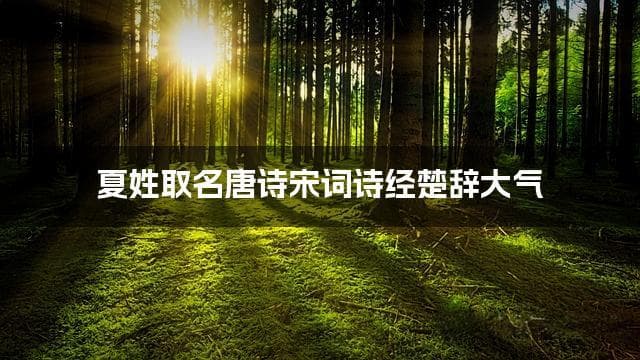夏姓取名唐诗宋词诗经楚辞精选
