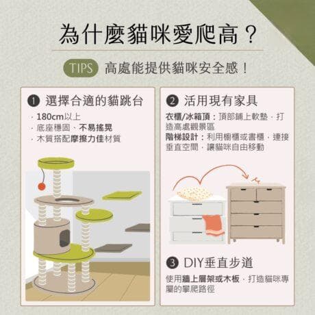 打造「舒适猫天堂」：理想养猫空间规划全指南