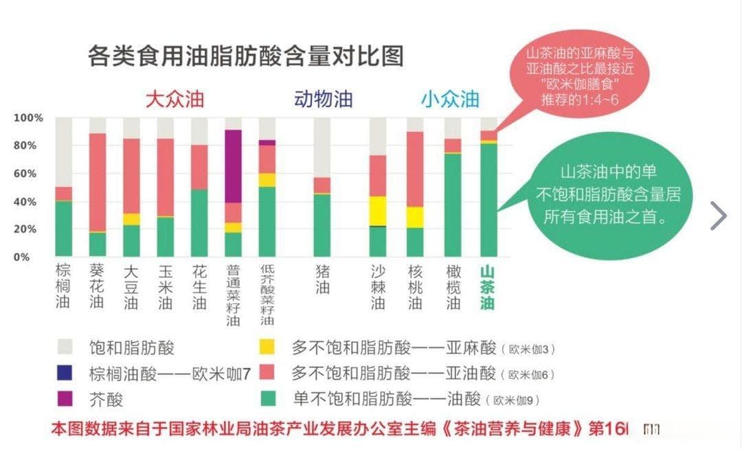 山茶油和橄榄油哪个好？万物皆可MBTI，原来它们对应这两个类型！