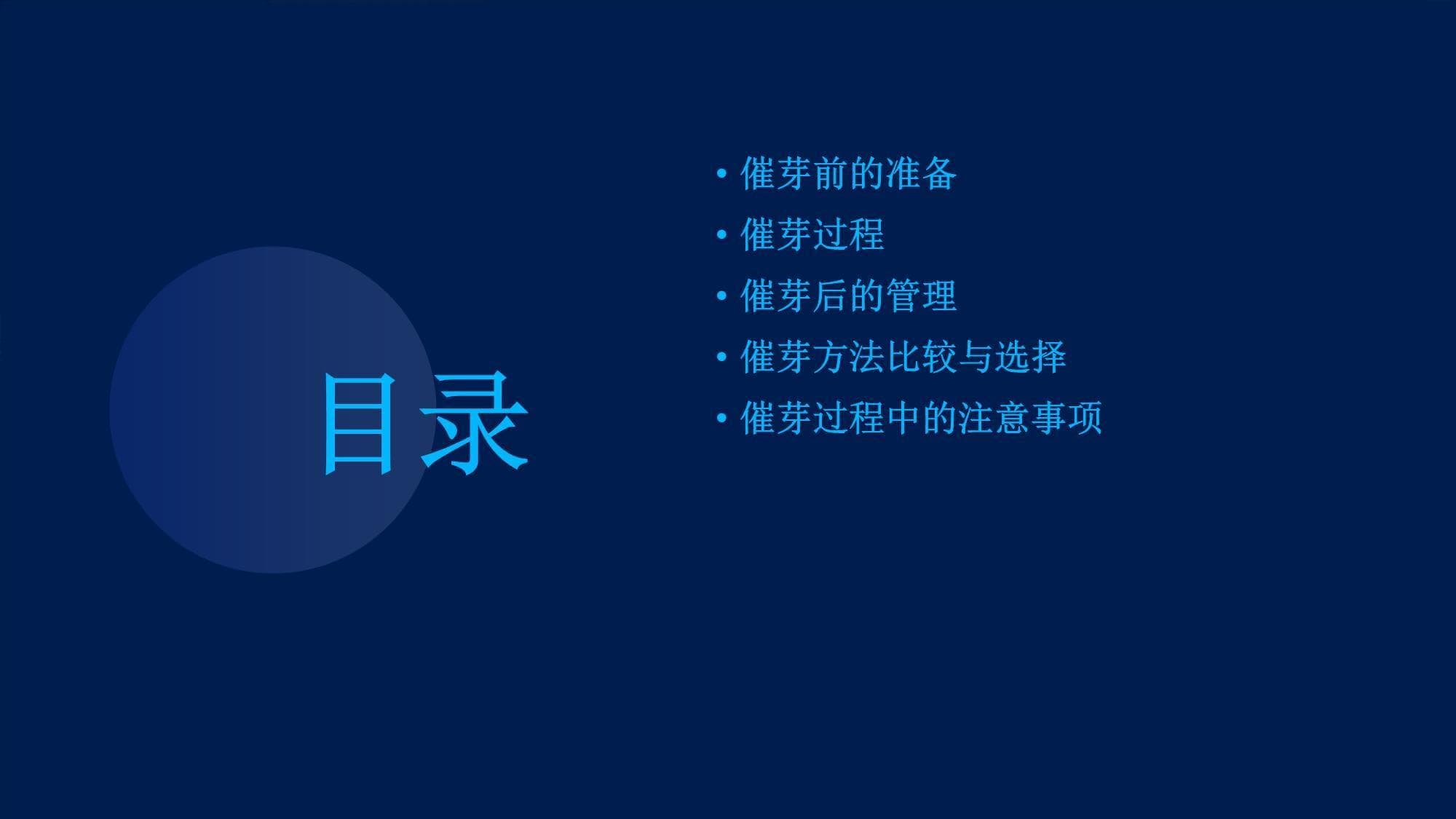 番茄种子催芽方法