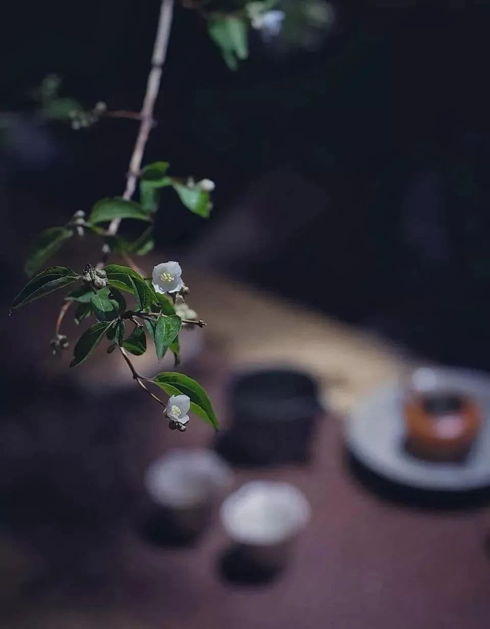 一 花 一 世 界