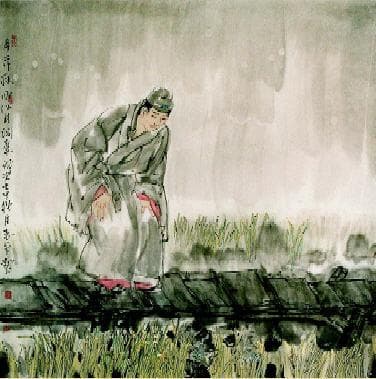 “稻花香里说丰年，听取蛙声一片”--辛弃疾《西江月》翻译赏析