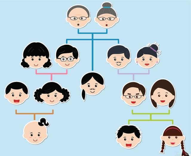 古代亲属称谓大盘点：血缘亲疏与礼仪文化的体现