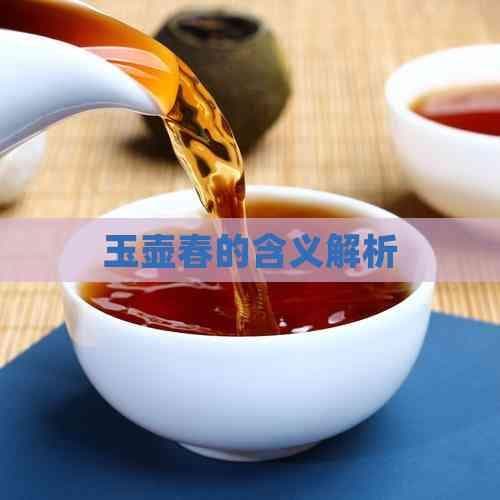 玉壶春的含义解析