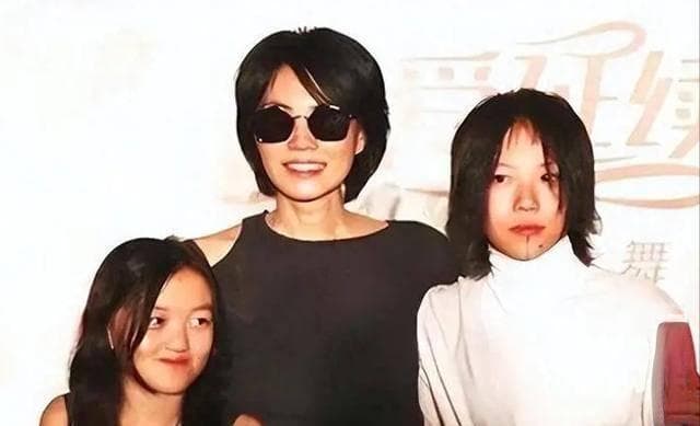 李亚鹏王菲创办嫣然天使医院，17年专注儿童医疗公益